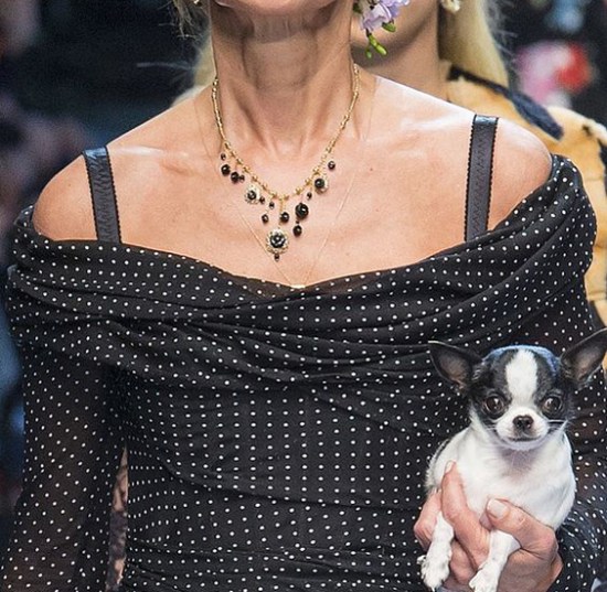 Dolce-Gabbana-Fall-2017