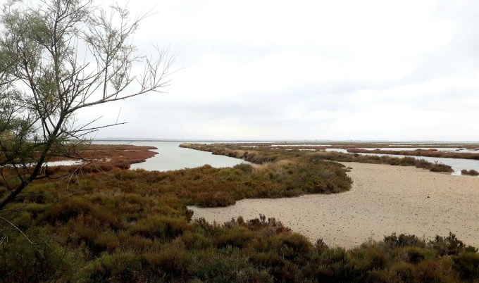 Balade Maguelone Les Jolies Quinquas 16