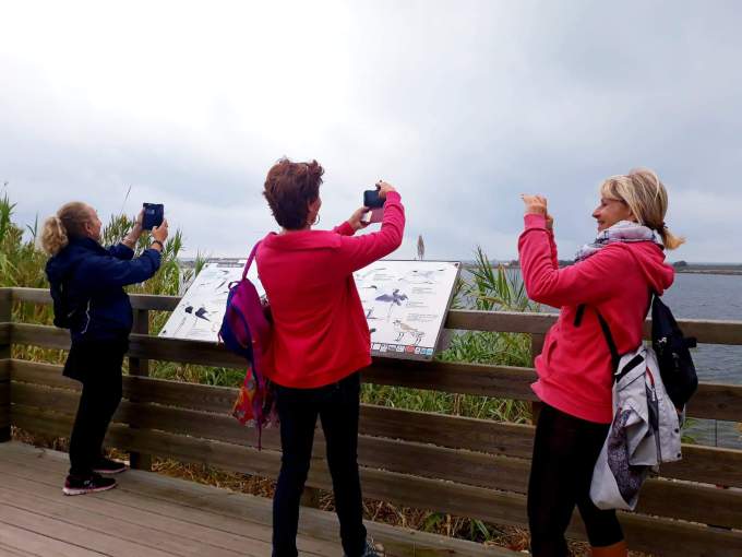 Balade Maguelone Les Jolies Quinquas 15