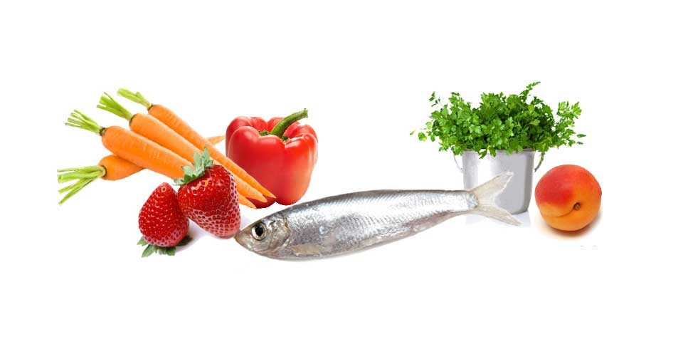 Illu les aliments pour bien bronzer