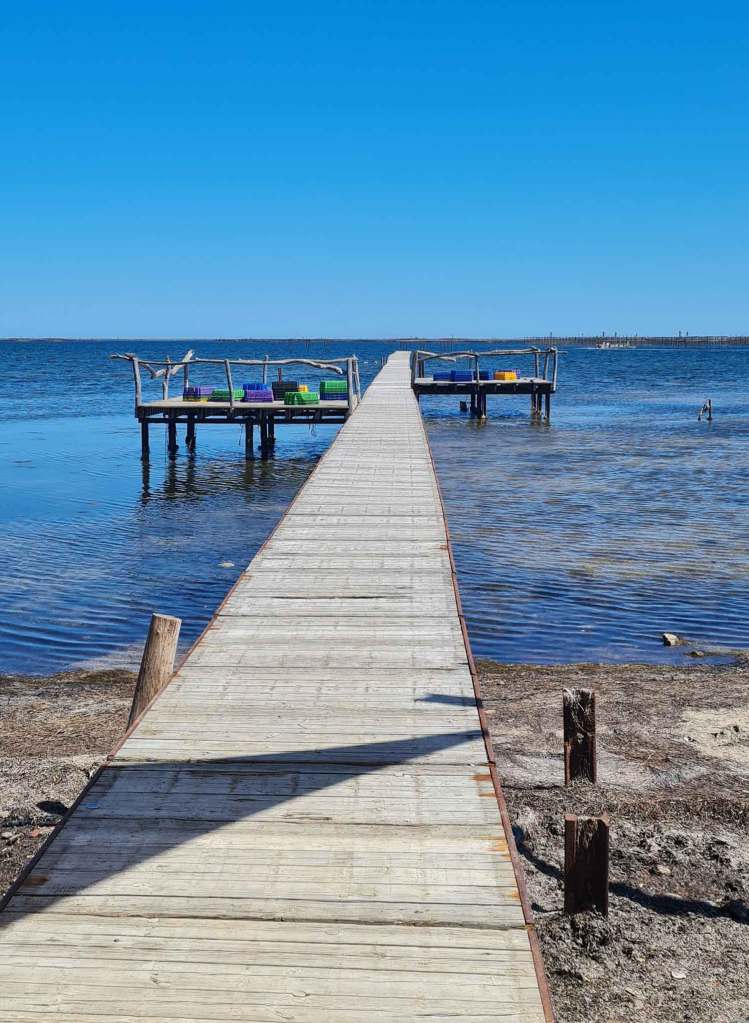 Sous le soleil du Midi - Etang de Thau
